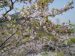 -幕燕滨江·长江观音景区