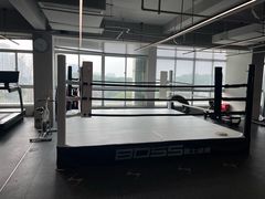 -BOSS健身