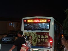 -日照海滨国家森林公园