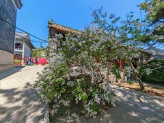 -湛山寺
