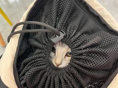 -恒幸动物医院·急重症转诊中心·神经内外科·CT核磁