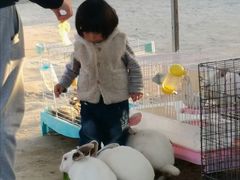 -前小桔亲子创意农场·草莓采摘·露营烧烤