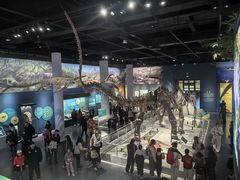 -国家自然博物馆