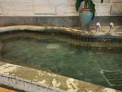-天目湖涵田度假村