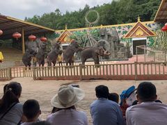 -多彩贵州城极地海洋世界