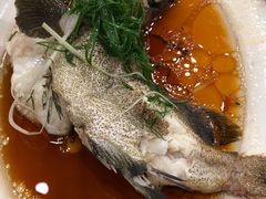 清蒸石斑鱼-新金盛·海鲜酒楼(盐田店)