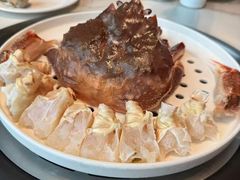 -青蓬蒸汽海鲜·深圳老字号·团建聚会(壹方城店)