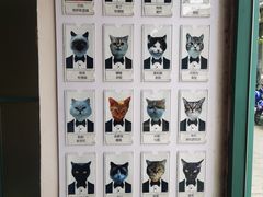 -喵屿·大理花园猫咖