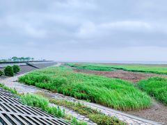 -南汇嘴观海公园