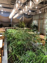 -悦诗风吟innisfree