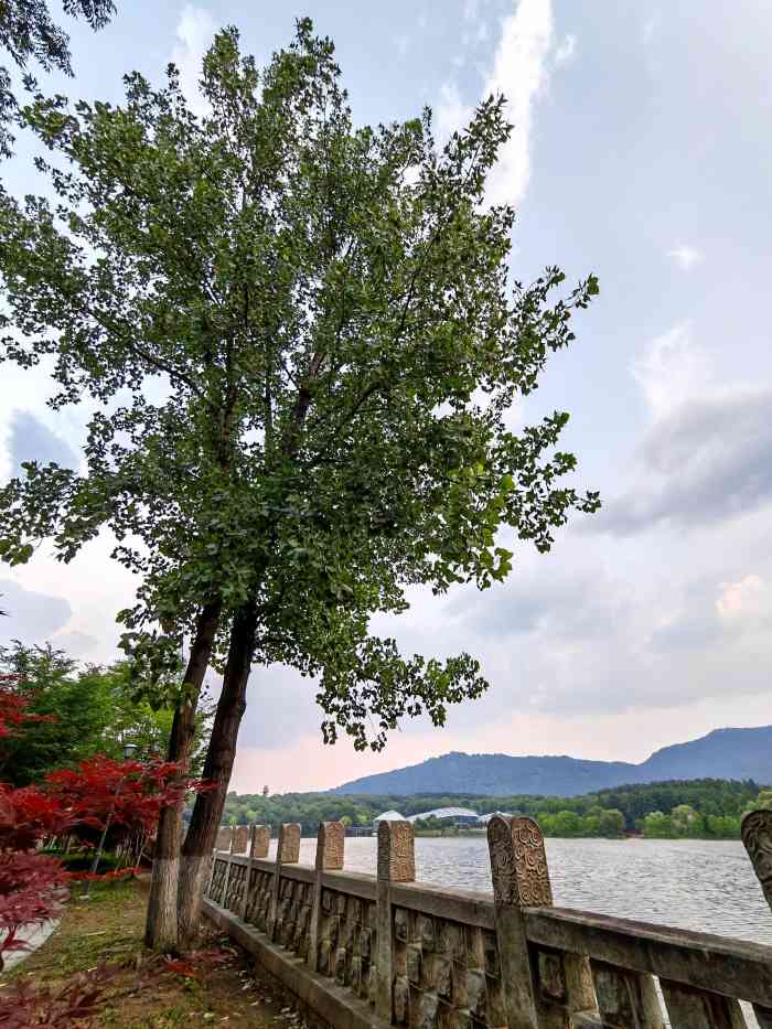 前湖公园-"前湖公园,是人少景美的地方,而且关键一点.