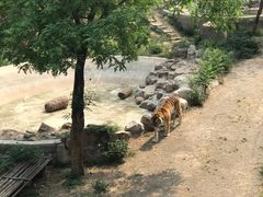 -石家庄市动物园