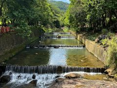 -广州白江湖森林公园