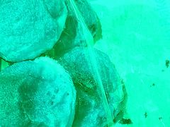 -好利来(彩香店)