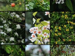 -舒家湾天主教堂