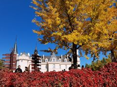 -北京张裕爱斐堡酒庄