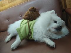 -伽利略剧本探案馆(国贸店)