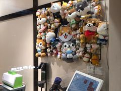 -逗柴咖啡屋·狗咖猫咖宠物桌游