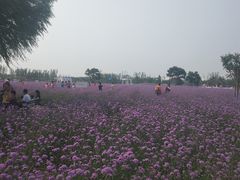 -渔岛海洋度假区