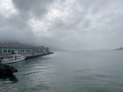 -海港城