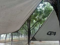 -长白岛森林公园