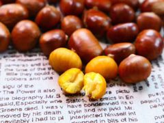 -陈记栗子(长宁路店)