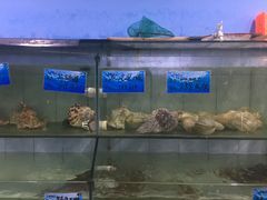 水产区-天鹰观渔(梦园店)