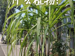 -平安里(地铁站)