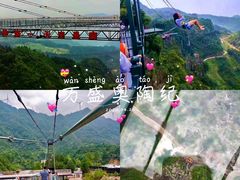 -梦幻奥陶纪景区