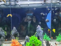 -烟台海昌鲸鲨海洋公园