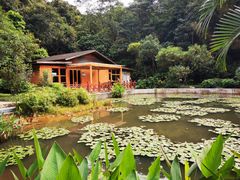 -云溪植物园