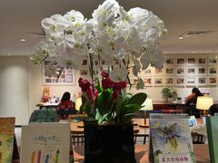 -五峰书院(南洋泾路店)