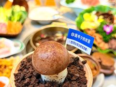 -大理董·董家小厨野生菌火锅(古城旗舰店)
