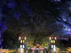-桂林独秀峰王城景区