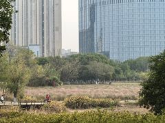 -艾溪湖湿地公园