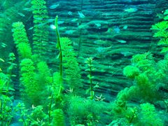 -上海海洋水族馆