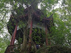-乌山风景区