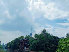 -成都市活水公园