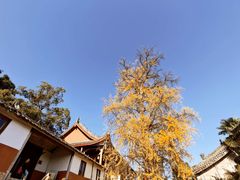 -金堂县云顶石城风景区