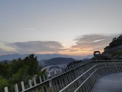 -福道
