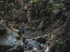 -西双版纳基诺山寨