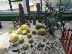 -太白山御龙湾温泉