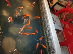 -黄家码头老火锅(解放碑旗舰店)