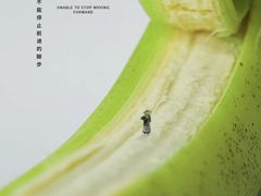 -Seesaw Coffee(苏州中心店)