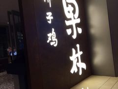 -百年果林椰子鸡(中洲店)