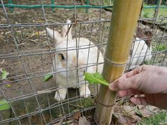 -鸿华度假酒店