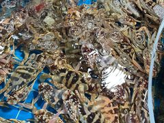 -鸿港海鲜批发市场