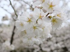 -中国茶叶博物馆(双峰馆区)