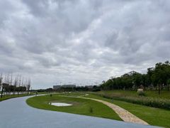 -春花秋色城市公园