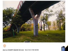 -王借岗森林公园